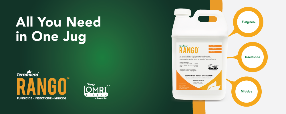 RANGO-All you need in one jug
